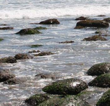 Stones on the Beach
